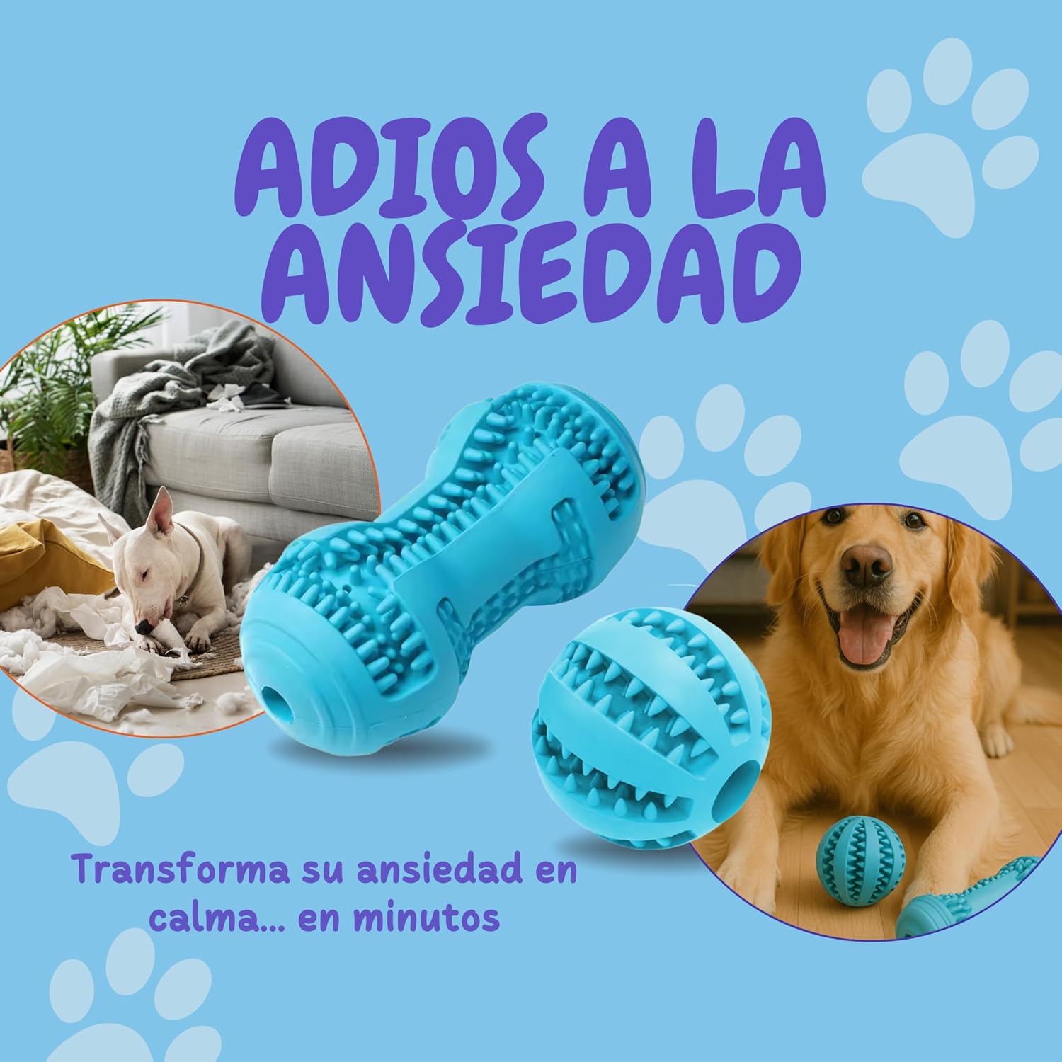 Juguete Cepillo Dental de Goma